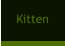 Kitten